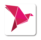 bKash Payment